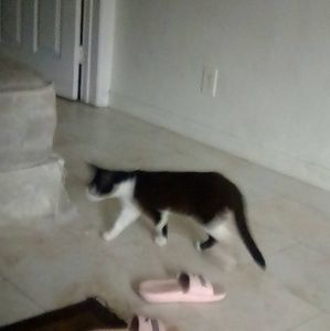 Meet your Posher, Jose